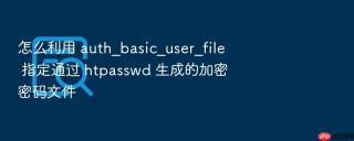 怎么利用 auth_basic_user_file 指定通过 htpasswd 生成的加密密码文件