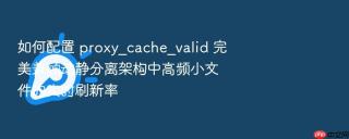 如何配置 proxy_cache_valid 完美兼顾动静分离架构中高频小文件的实时刷新率