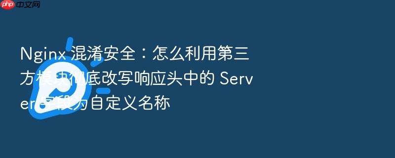 nginx 混淆安全:怎么利用第三方模块彻底改写响应头中的 server 字段为自定义名称