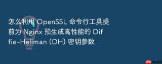 怎么利用 openssl 命令行工具提前为 nginx 预生成高性能的 diffie-hellman (dh) 密钥参数
