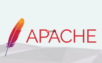 怎么在 apache 反向代理中处理特殊的 url 编码字符