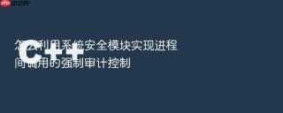怎么利用系统安全模块实现进程间调用的强制审计控制