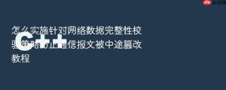 怎么实施针对网络数据完整性校验策略防止通信报文被中途篡改教程