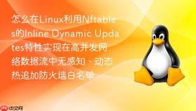 怎么在linux利用nftables的inline dynamic updates特性实现在高并发网络数据流中无感知、动态热追加防火墙白名单