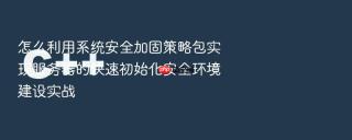 怎么利用系统安全加固策略包实现服务器的快速初始化安全环境建设实战