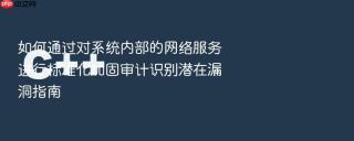 如何通过对系统内部的网络服务进行标准化加固审计识别潜在漏洞指南