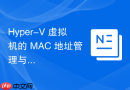 Hyper-V 虚拟机的 MAC 地址管理与冲突排查