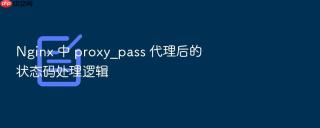 nginx 中 proxy_pass 代理后的状态码处理逻辑