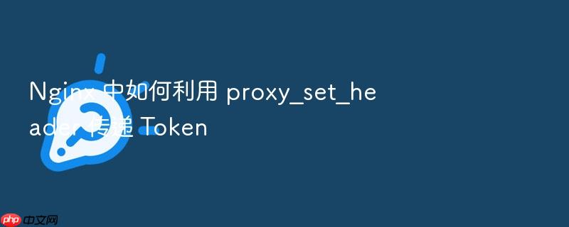 nginx 中如何利用 proxy_set_header 传递 token
