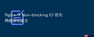 nginx 中 non-blocking io 优化网络吞吐能力