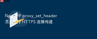 nginx 中 proxy_set_header 怎么支持 https 连接传递