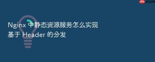 nginx 中静态资源服务怎么实现基于 header 的分发