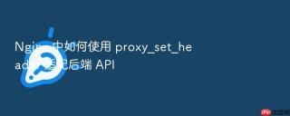 nginx 中如何使用 proxy_set_header 适配后端 api