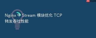 Nginx 中 Stream 模块优化 TCP 转发吞吐性能