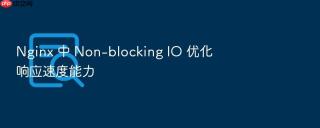 Nginx 中 Non-blocking IO 优化响应速度能力
