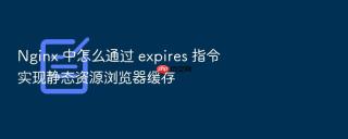 nginx 中怎么通过 expires 指令实现静态资源浏览器缓存