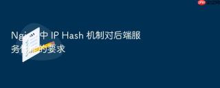 Nginx 中 IP Hash 机制对后端服务性能的要求