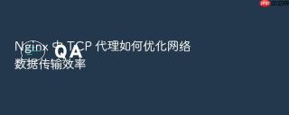 nginx 中 tcp 代理如何优化网络数据传输效率