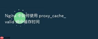 Nginx 中如何使用 proxy_cache_valid 细分缓存时间