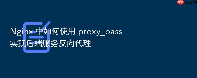 nginx 中如何使用 proxy_pass 实现后端服务反向代理
