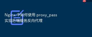 nginx 中如何使用 proxy_pass 实现后端服务反向代理