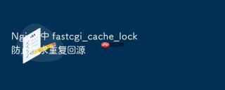 nginx 中 fastcgi_cache_lock 防止请求重复回源