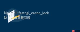 Nginx 中 fastcgi_cache_lock 防止请求重复回源
