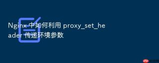 nginx 中如何利用 proxy_set_header 传递环境参数