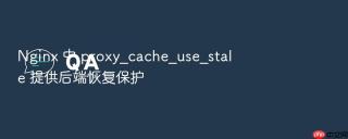 Nginx 中 proxy_cache_use_stale 提供后端恢复保护