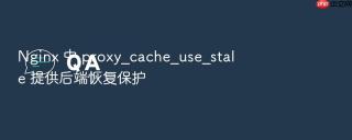 nginx 中 proxy_cache_use_stale 提供后端恢复保护