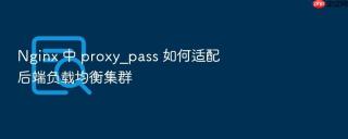 nginx 中 proxy_pass 如何适配后端负载均衡集群
