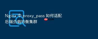 Nginx 中 proxy_pass 如何适配后端负载均衡集群