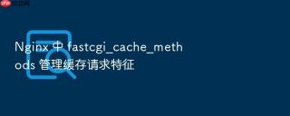 nginx 中 fastcgi_cache_methods 管理缓存请求特征