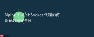 nginx 中 websocket 代理如何保证数据安全性