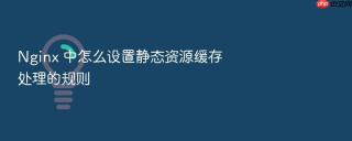 nginx 中怎么设置静态资源缓存处理的规则