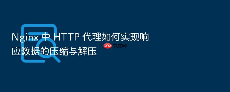 nginx 中 http 代理如何实现响应数据的压缩与解压