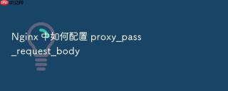 nginx 中如何配置 proxy_pass_request_body