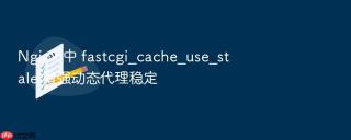 nginx 中 fastcgi_cache_use_stale 增强动态代理稳定