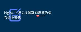 nginx 中怎么设置静态资源的缓存命中策略