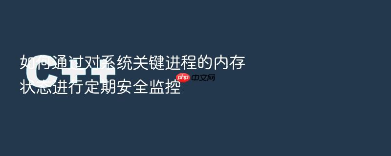 如何通过对系统关键进程的内存状态进行定期安全监控