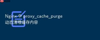 nginx 中 proxy_cache_purge 动态清理缓存内容