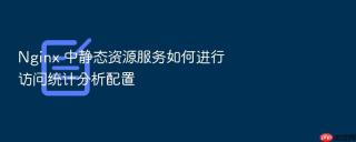 nginx 中静态资源服务如何进行访问统计分析配置