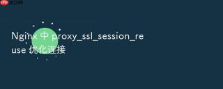 nginx 中 proxy_ssl_session_reuse 优化连接