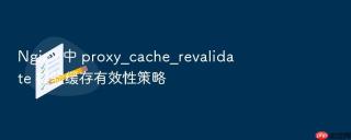 Nginx 中 proxy_cache_revalidate 校验缓存有效性策略