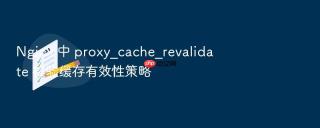 nginx 中 proxy_cache_revalidate 校验缓存有效性策略