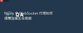 nginx 中 websocket 代理如何保障连接生命周期