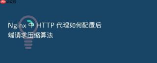 Nginx 中 HTTP 代理如何配置后端请求压缩算法