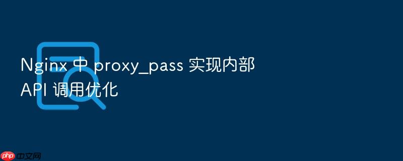 nginx 中 proxy_pass 实现内部 api 调用优化