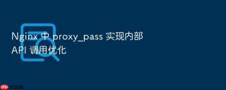 nginx 中 proxy_pass 实现内部 api 调用优化