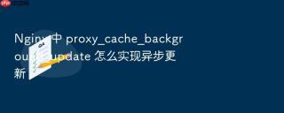 nginx 中 proxy_cache_background_update 怎么实现异步更新